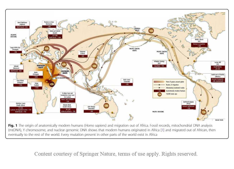 Map of Homo Sapien migration